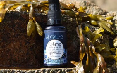 Soins Algalys aux algues biologiques